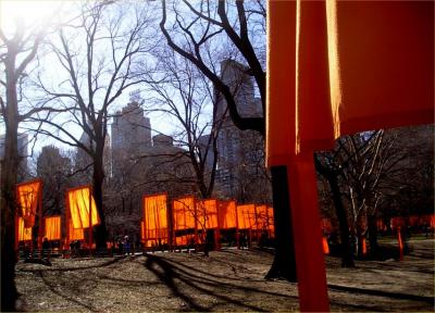 u47/terryballard/medium/40013332.Seaofsaffron.jpg