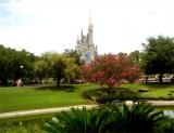 Cinderellas castle