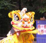 Caribbean Parade dragon