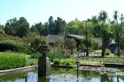 view across main pond.jpg