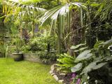 Marc Vissers' Exotic Garden in Belgium