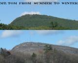 Mt Tom From Summer to Winter