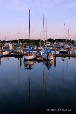 Boats at the Marina
