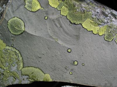 Stone surface near Penmaenmawr, Wales