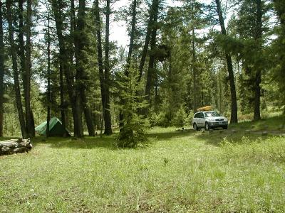 P6020144_camp.jpg