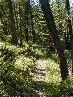 P6030155_hiker's trail.jpg
