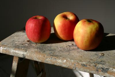 September 18th - Tres Apples In The Morning Sun