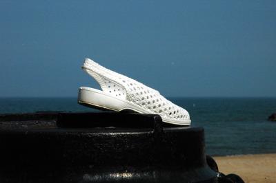 shoe