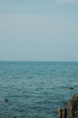 pilings