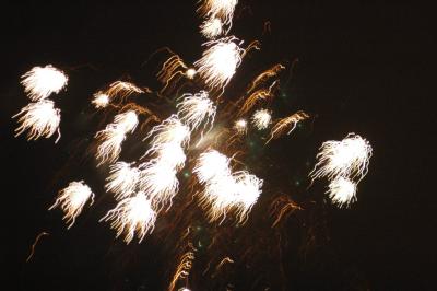 local fireworks