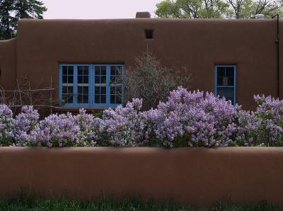 Acequia Madre neighborhood 2