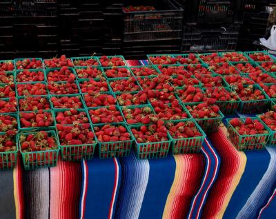 Farmer's market