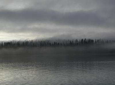 Bartlett Cove - Glacier Bay