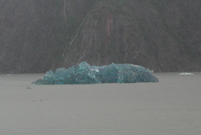 Ice -Tracy Arm Fjord 1