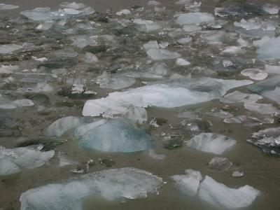 Ice -Tracy Arm Fjord 2