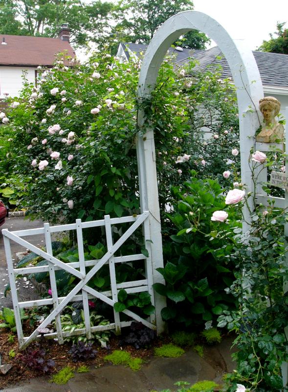arbor.jpg