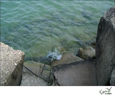 The Rocks at Gilson Beach