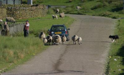 Catley Lane Head, Rochdale