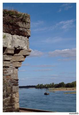 la loire  Ancenis