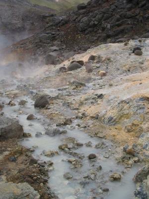 Steam rising from geyser pools