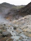 Steam rising from geyser hotspots