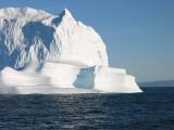 Iceberg Ahoy