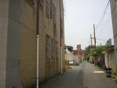 P1010005.JPG
