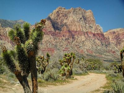 Red Rock Canyon