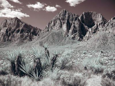 Red Rock Canyon, Las Vegas-4