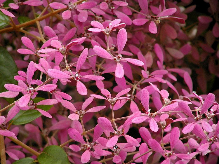 P3041203c.jpg