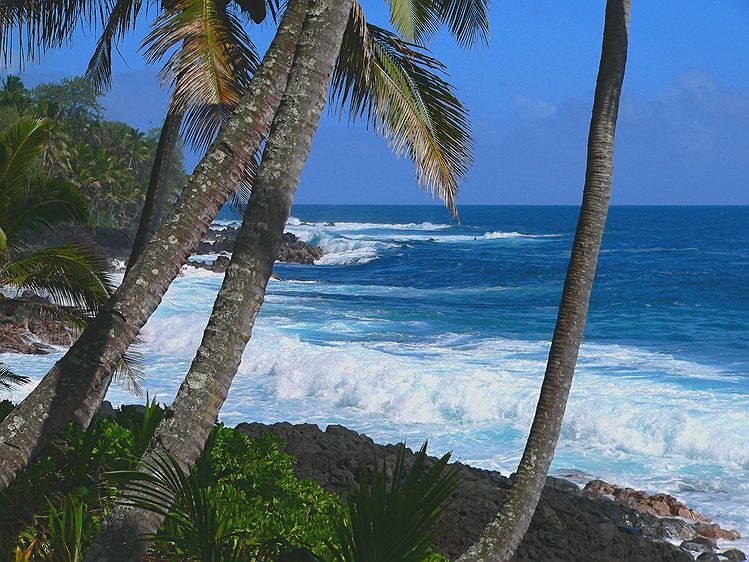 Puna Shoreline