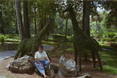 IMG002.JPG