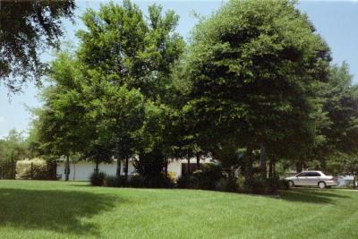 IMG016.JPG