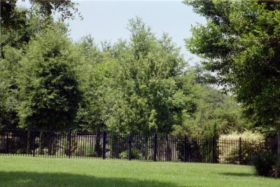IMG017.JPG