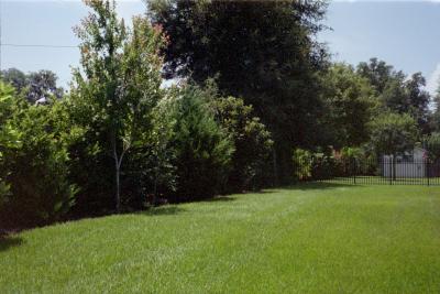 IMG019.JPG
