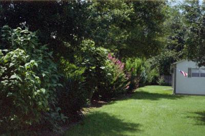 IMG020.JPG