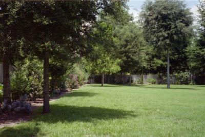 IMG021.JPG