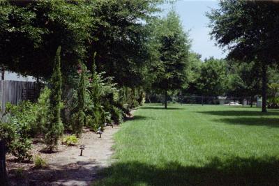IMG023.JPG