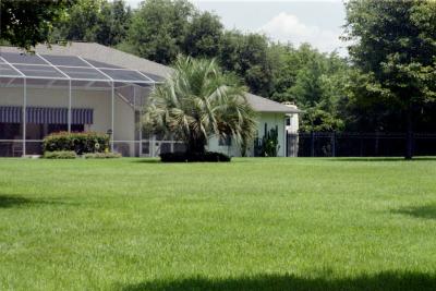 silver springs park & home
