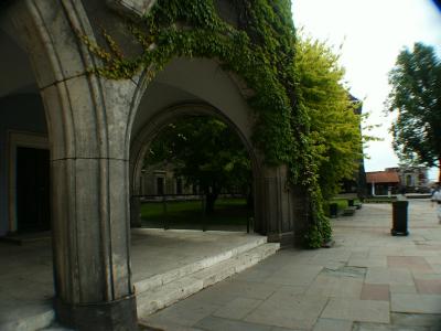 Krakow ivy arch
