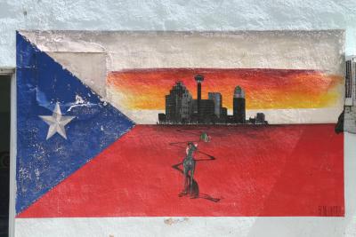 TX Flag Mural
