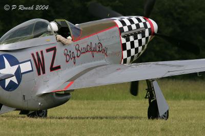 P51-Mustang au sol - 2