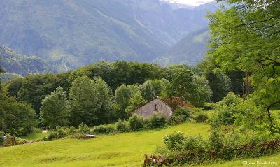 Idyllische Umgebung auf dem Wanderweg nach Schwndi GL