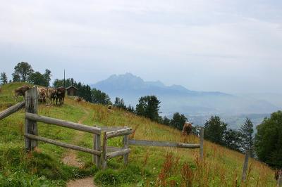 Khe auf der Seebodenalp
