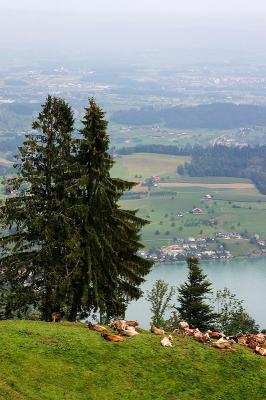 Khe auf der Seebodenalp