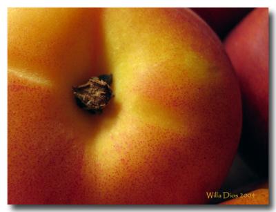 Nectarine