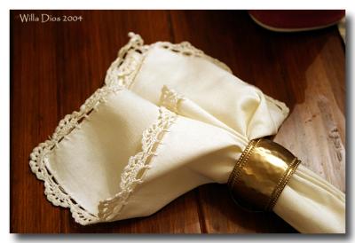Pretty Napkin