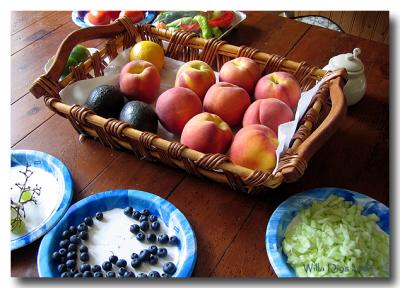 Summers Bounty  /   July 4, 2004