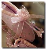 Satin, Ribbon, Slippers And Beads