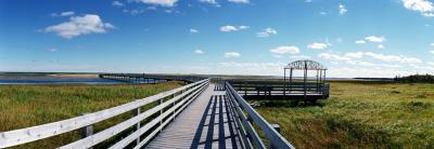 u47/willbakker/medium/30138376.Kouchibouguac.jpg